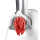 BOSCH MFW2514W - 572431 - zdjęcie 6
